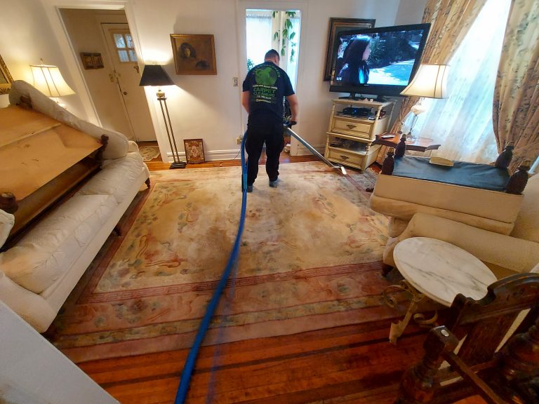 Home rug cleaning